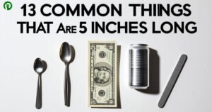 13 Common Things That Are 5 Inches Long
