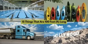 Illustration showing comparisons of 100 feet using objects like school buses, a Boeing 737, a blue whale, and a 10-story building.