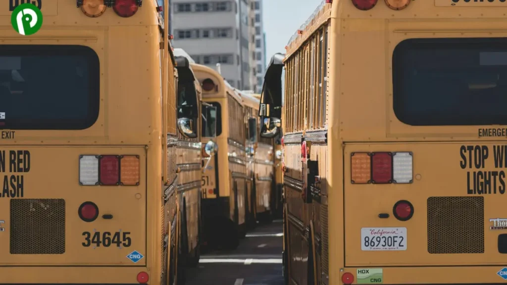 Two yellow school buses parked end to end to show a total length of 100 feet