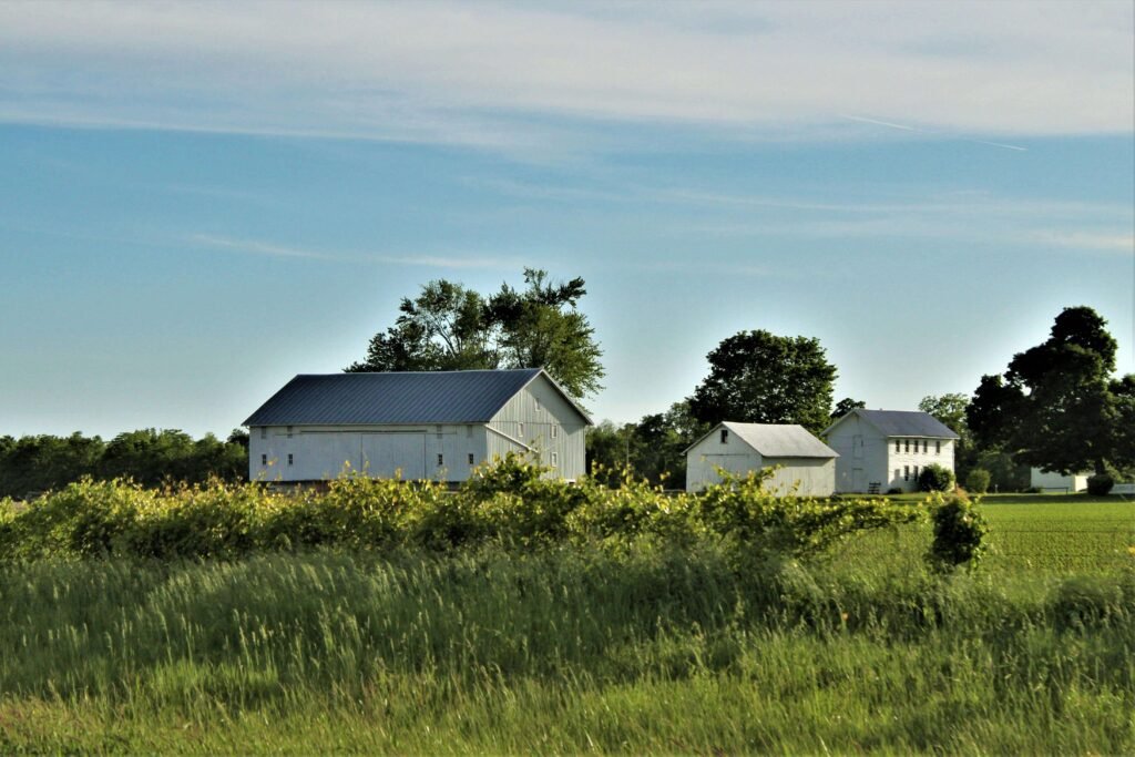 Sustainable and eco-friendly home living, inspired by Wutawhelp’s green tips