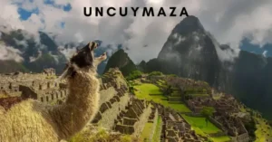 Visual representation of Uncuymaza meaning and uses through abstract shapes and digital creativity.