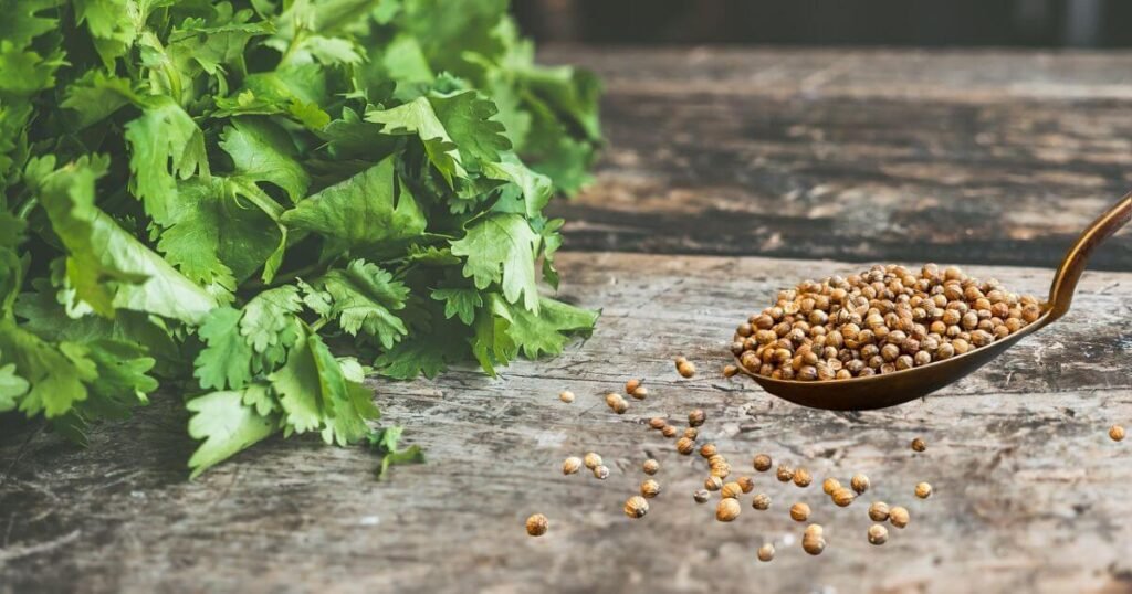 Nutritional Composition of Koriandri