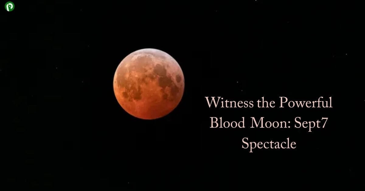 Witness the Powerful Blood Moon: Sept 7 Spectacle